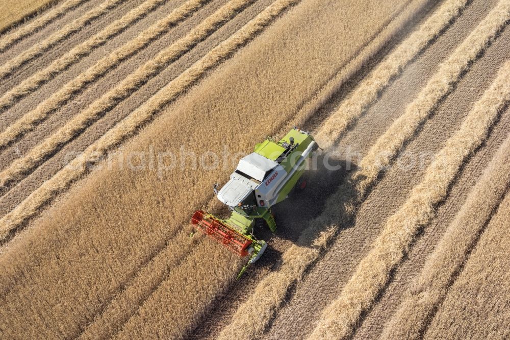 Friolzheim from the bird's eye view: Harvest use of heavy agricultural machinery - combine harvesters and harvesting vehicles on agricultural fields in Friolzheim in the state Baden-Wuerttemberg