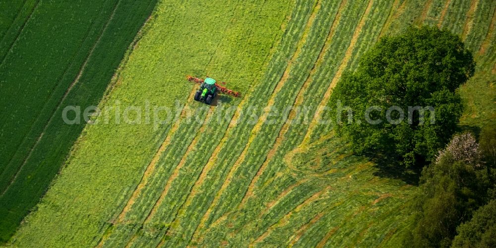 Gevelsberg from above - Harvest use of heavy agricultural machinery - hay tedder on agricultural fields in Gevelsberg in the state North Rhine-Westphalia