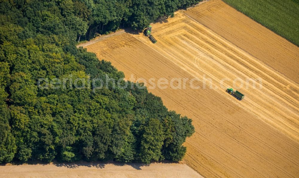 Haltern am See from above - Harvest use of heavy agricultural machinery and harvesting vehicles on agricultural fields in Haltern am See in the state North Rhine-Westphalia, Germany