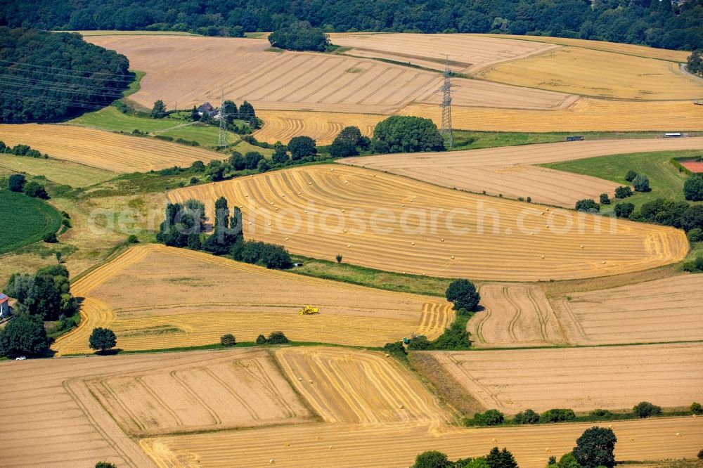 Hattingen from above - Harvest use of heavy agricultural machinery - combine harvesters and harvesting vehicles on agricultural fields in Hattingen in the state North Rhine-Westphalia