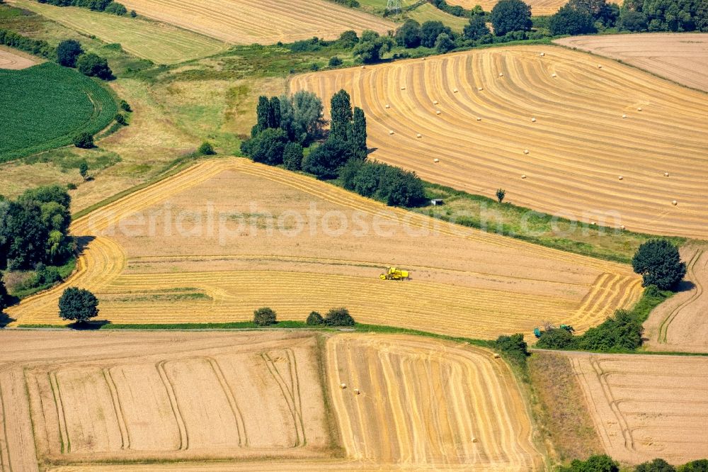 Hattingen from the bird's eye view: Harvest use of heavy agricultural machinery - combine harvesters and harvesting vehicles on agricultural fields in Hattingen in the state North Rhine-Westphalia