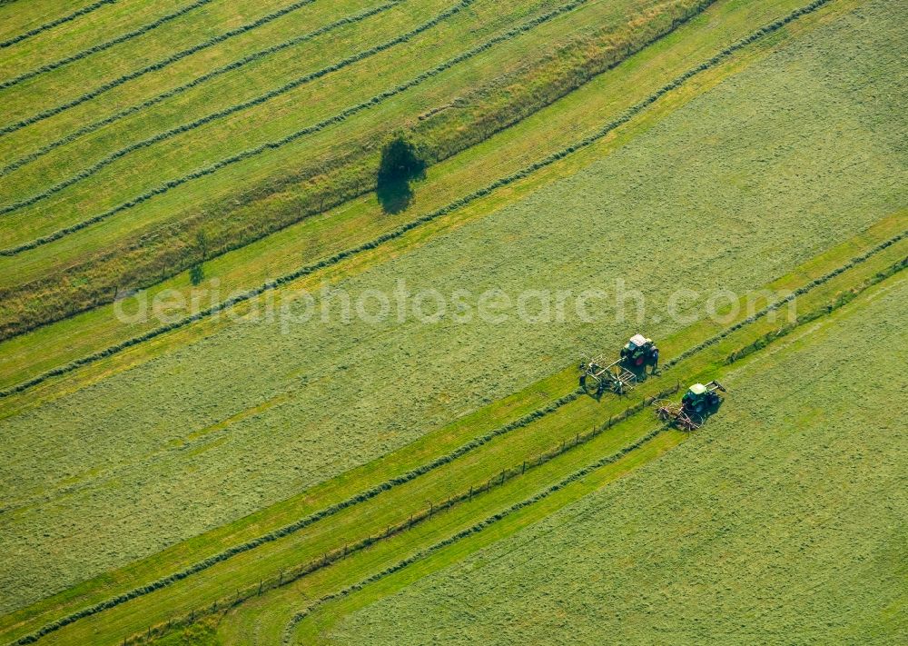 Aerial photograph Meschede - Harvest use of heavy agricultural machinery - harvesting vehicles on agricultural fields in Meschede in the state North Rhine-Westphalia