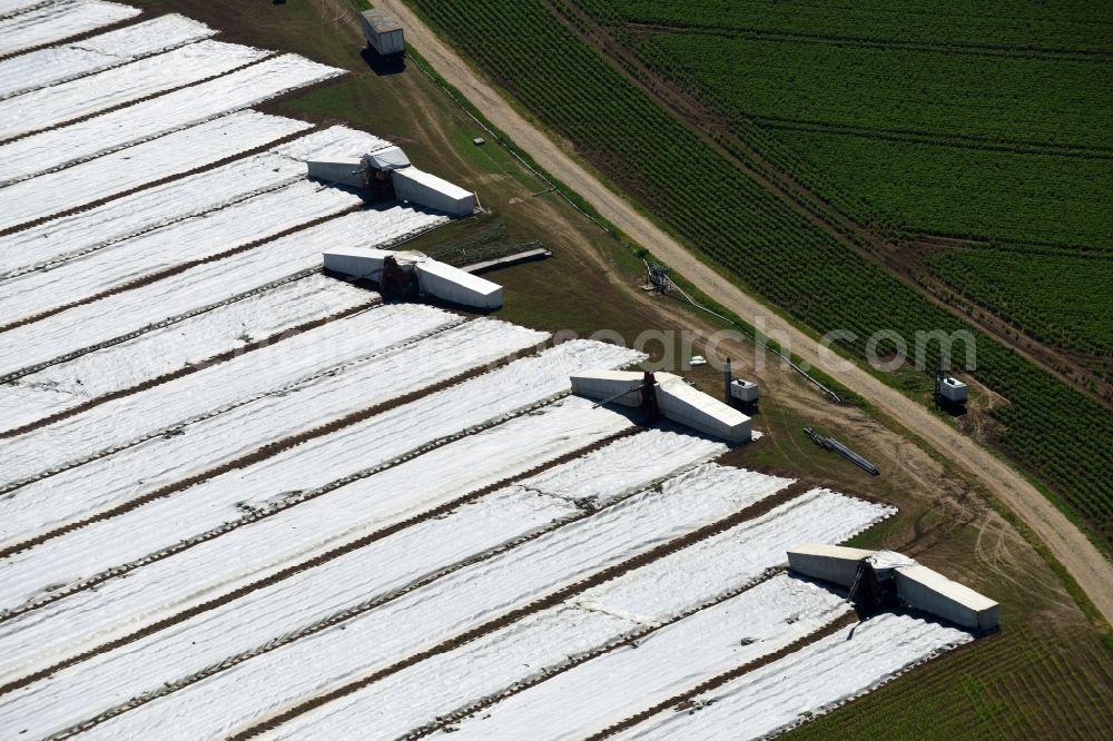 Aerial image Moos - Harvest use of heavy agricultural machinery and harvesting vehicles on agricultural fields in Moos in the state Bavaria, Germany