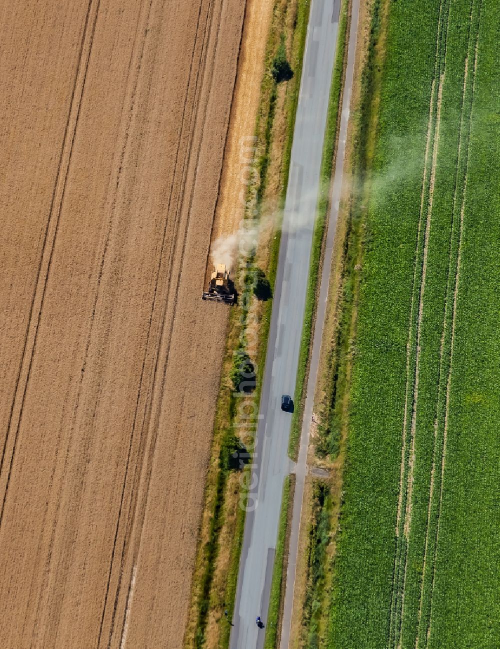 Nordstrand from above - Harvest use of heavy agricultural machinery - combine harvesters and harvesting vehicles on agricultural fields on street Pohnshalligkoogstrasse in Nordstrand North Friesland in the state Schleswig-Holstein, Germany