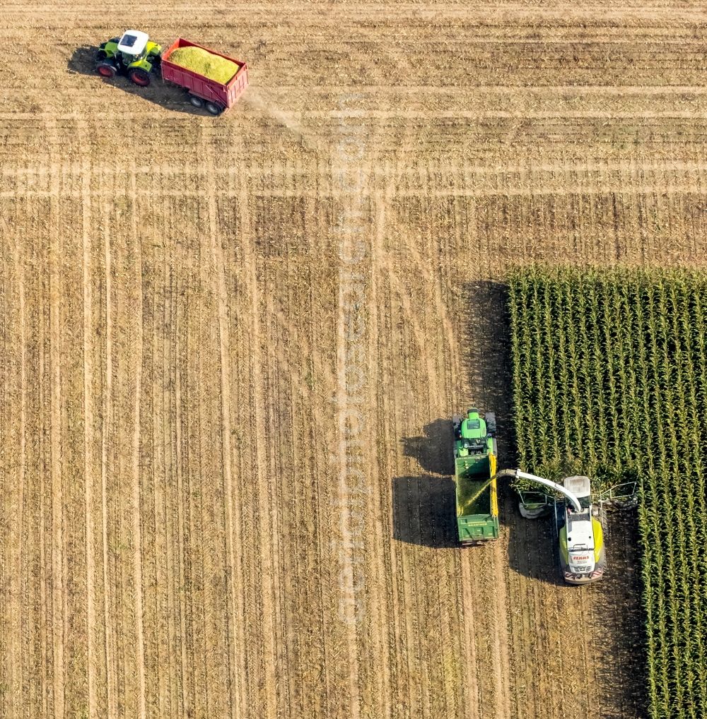 Dortmund from above - Harvest use of heavy agricultural machinery - combine harvesters and harvesting vehicles on agricultural fields in the district Mengede in Dortmund in the state North Rhine-Westphalia