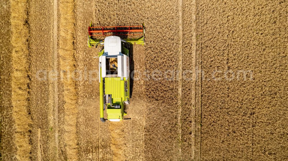 Aerial photograph Recklinghausen - Harvest use of heavy agricultural machinery - combine harvesters and harvesting vehicles on agricultural fields in Recklinghausen at Ruhrgebiet in the state North Rhine-Westphalia, Germany