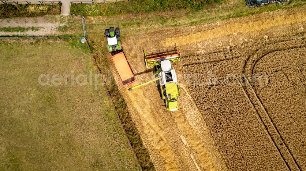 Aerial photograph Recklinghausen - Harvest use of heavy agricultural machinery - combine harvesters and harvesting vehicles on agricultural fields in Recklinghausen at Ruhrgebiet in the state North Rhine-Westphalia, Germany