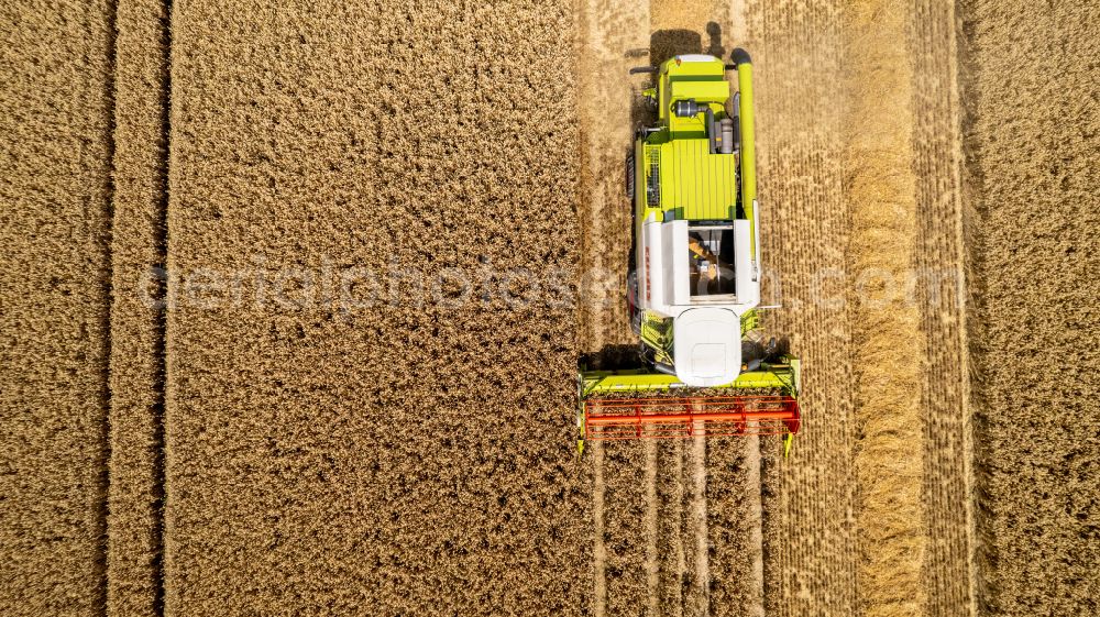 Recklinghausen from above - Harvest use of heavy agricultural machinery - combine harvesters and harvesting vehicles on agricultural fields in Recklinghausen at Ruhrgebiet in the state North Rhine-Westphalia, Germany