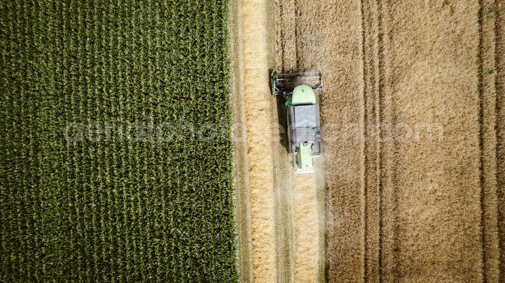 Aerial image Recklinghausen - Harvest use of heavy agricultural machinery - combine harvesters and harvesting vehicles on agricultural fields on street Bergstrasse in the district Suderwich in Recklinghausen at Ruhrgebiet in the state North Rhine-Westphalia, Germany