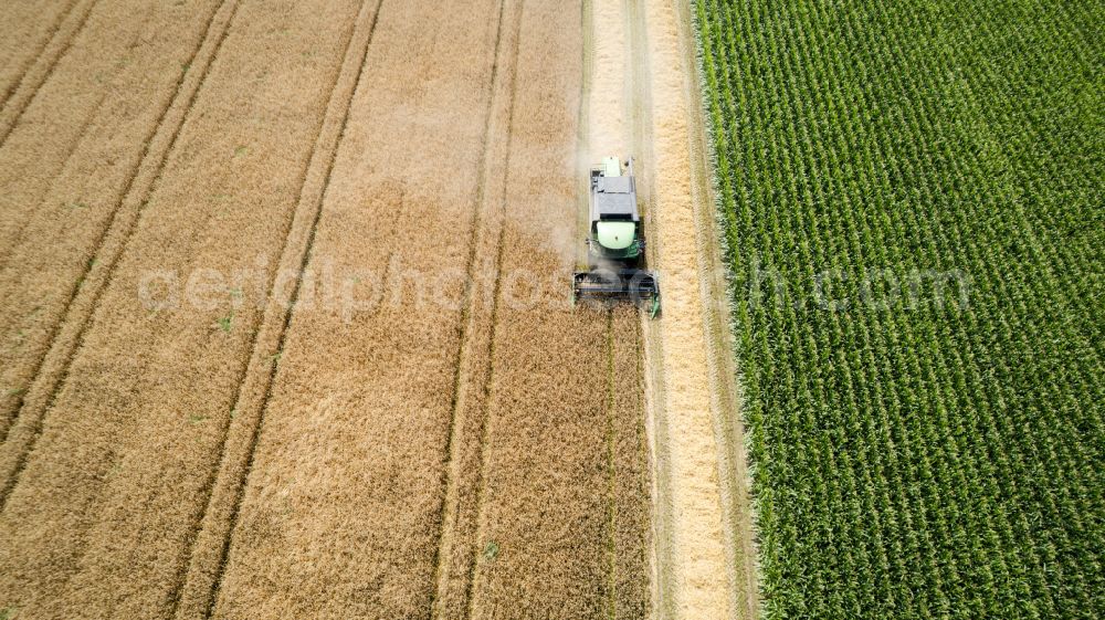 Aerial photograph Recklinghausen - Harvest use of heavy agricultural machinery - combine harvesters and harvesting vehicles on agricultural fields on street Bergstrasse in the district Suderwich in Recklinghausen at Ruhrgebiet in the state North Rhine-Westphalia, Germany