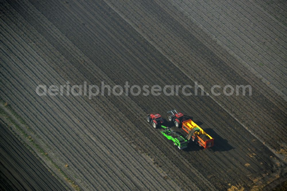 Aerial image Stendal - Harvest use of heavy agricultural machinery - combine harvesters and harvesting vehicles on agricultural fields in Stendal in the state Saxony-Anhalt