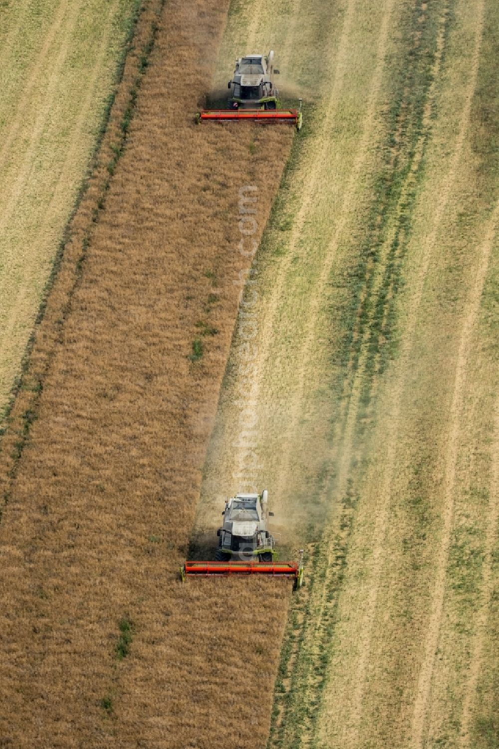 Vipperow from the bird's eye view: Harvest use of heavy agricultural machinery - combine harvesters and harvesting vehicles on agricultural fields in Vipperow in the state Mecklenburg - Western Pomerania