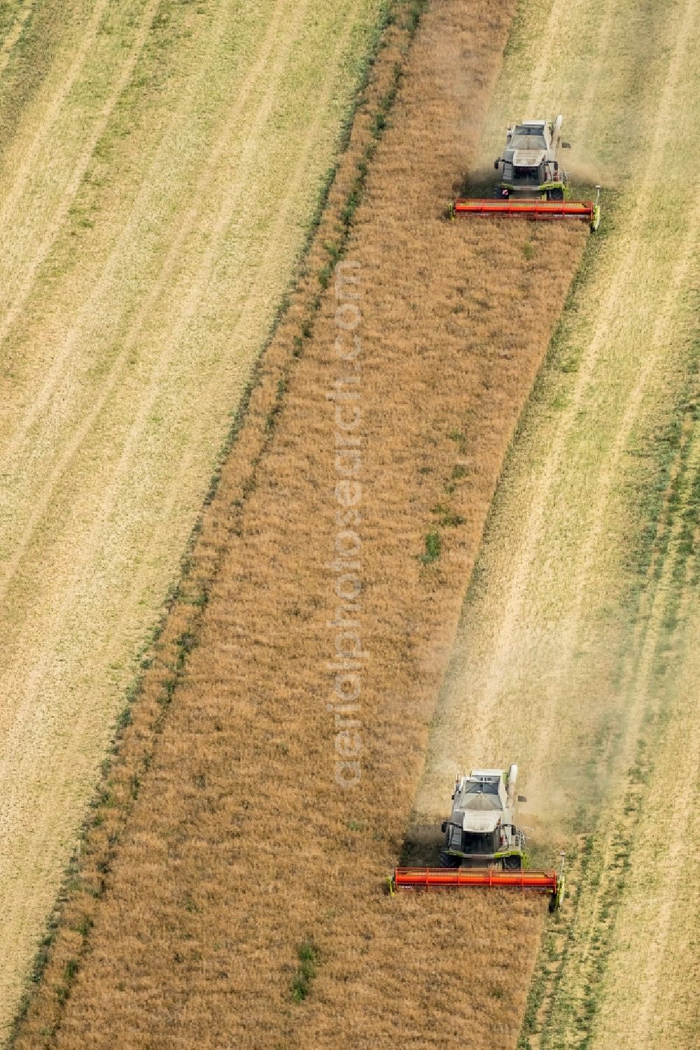 Aerial image Vipperow - Harvest use of heavy agricultural machinery - combine harvesters and harvesting vehicles on agricultural fields in Vipperow in the state Mecklenburg - Western Pomerania