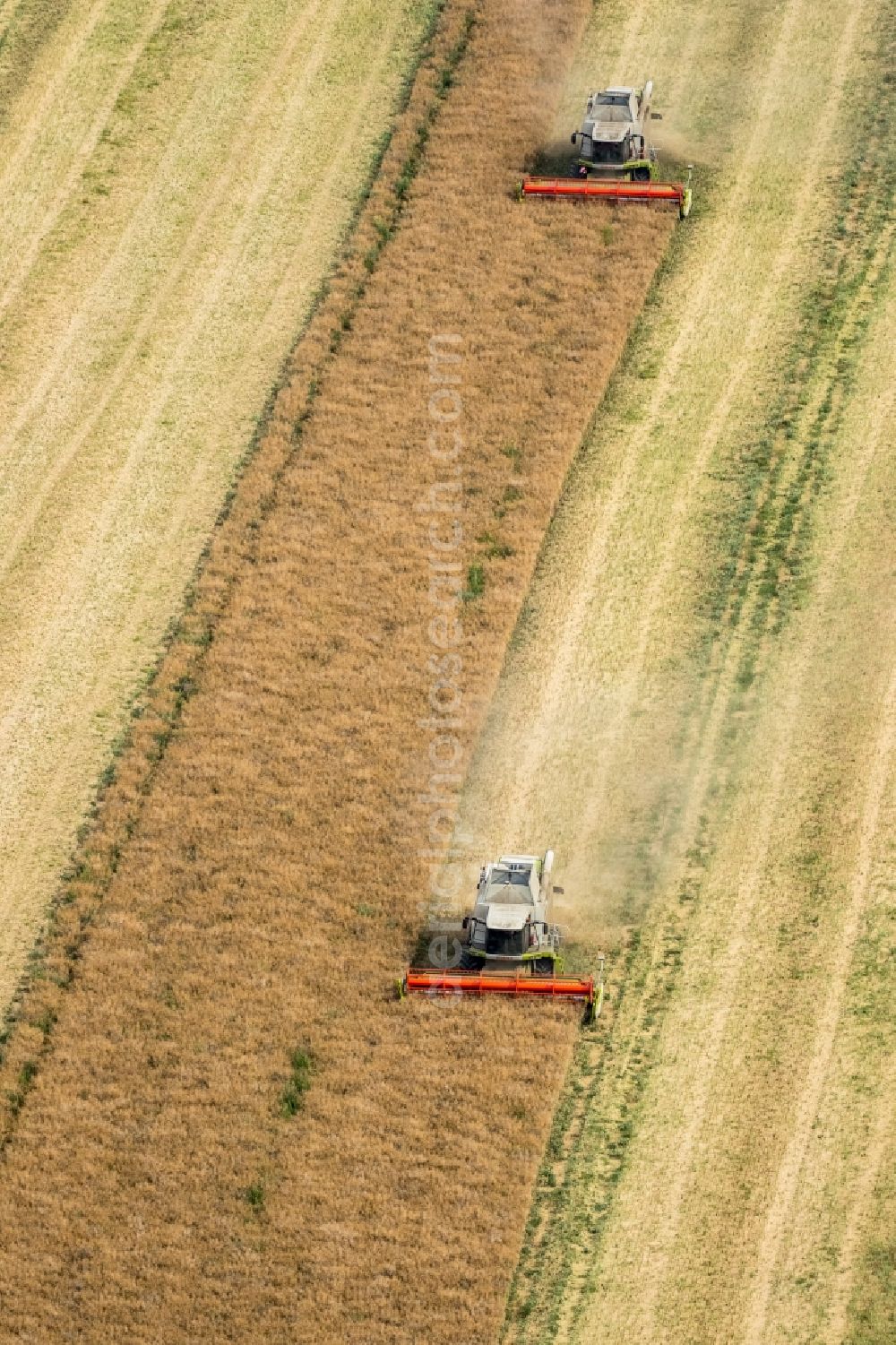 Aerial photograph Vipperow - Harvest use of heavy agricultural machinery - combine harvesters and harvesting vehicles on agricultural fields in Vipperow in the state Mecklenburg - Western Pomerania