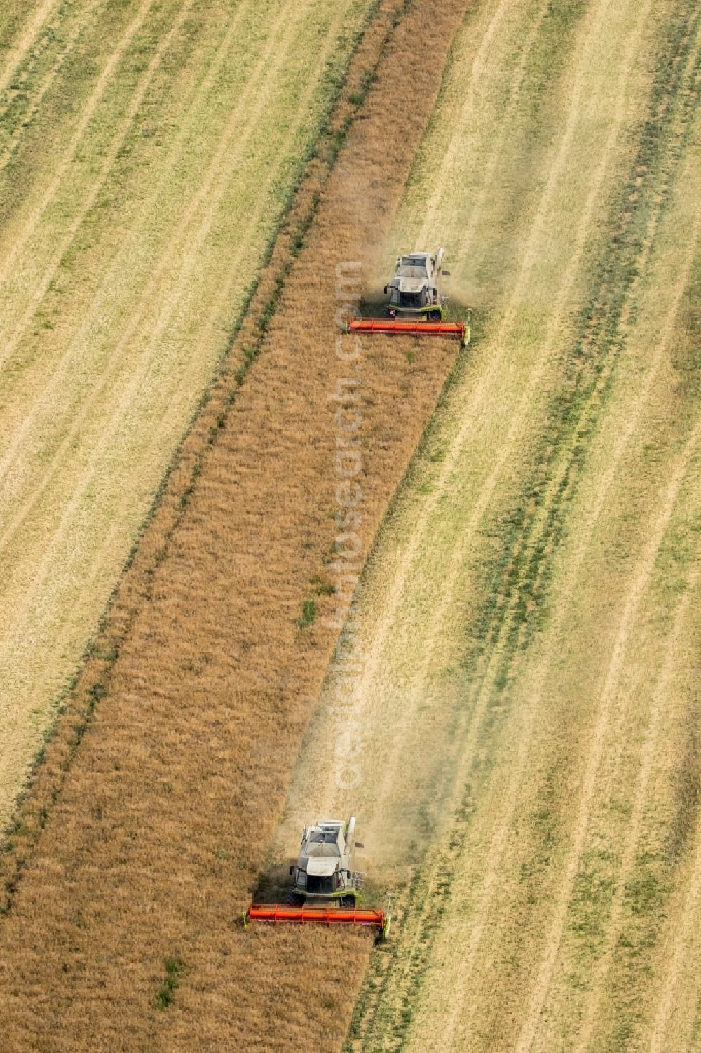 Vipperow from above - Harvest use of heavy agricultural machinery - combine harvesters and harvesting vehicles on agricultural fields in Vipperow in the state Mecklenburg - Western Pomerania