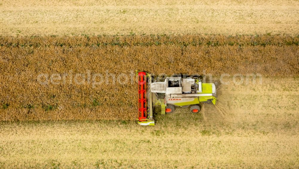 Vipperow from the bird's eye view: Harvest use of heavy agricultural machinery - combine harvesters and harvesting vehicles on agricultural fields in Vipperow in the state Mecklenburg - Western Pomerania