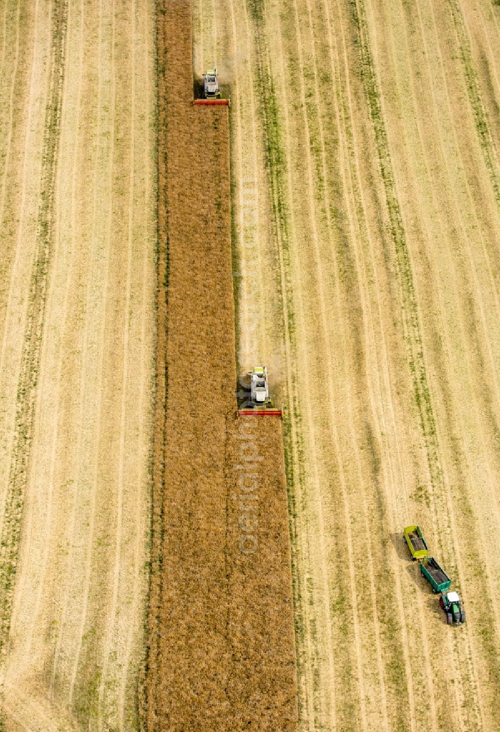 Aerial photograph Vipperow - Harvest use of heavy agricultural machinery - combine harvesters and harvesting vehicles on agricultural fields in Vipperow in the state Mecklenburg - Western Pomerania