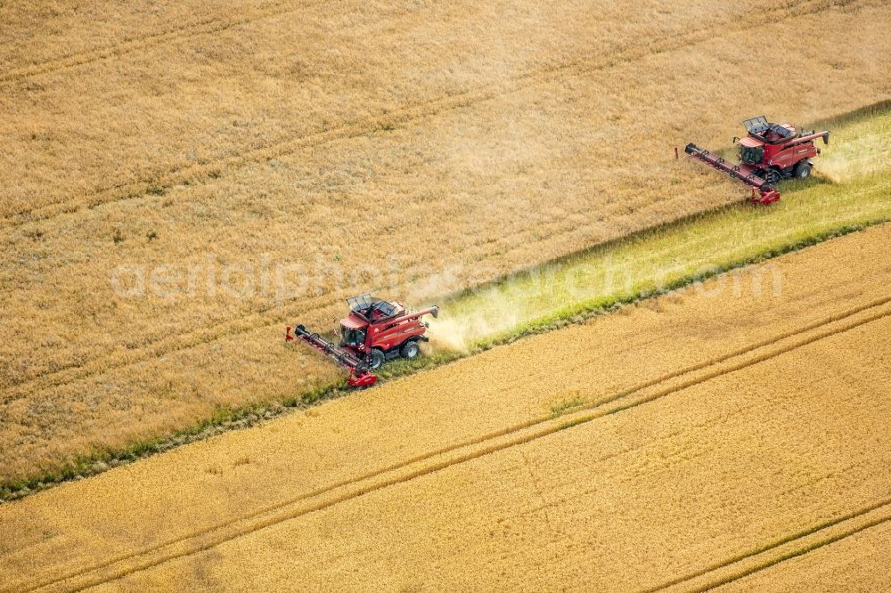 Vipperow from above - Harvest use of heavy agricultural machinery - combine harvesters and harvesting vehicles on agricultural fields in Vipperow in the state Mecklenburg - Western Pomerania