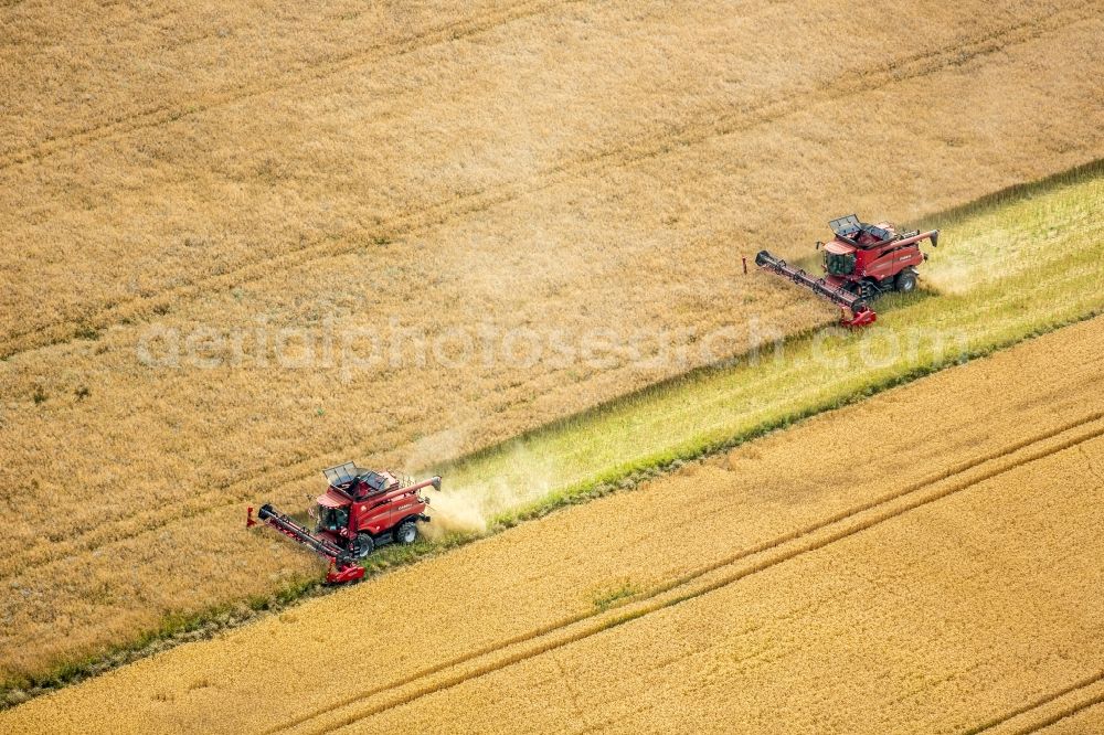 Vipperow from the bird's eye view: Harvest use of heavy agricultural machinery - combine harvesters and harvesting vehicles on agricultural fields in Vipperow in the state Mecklenburg - Western Pomerania