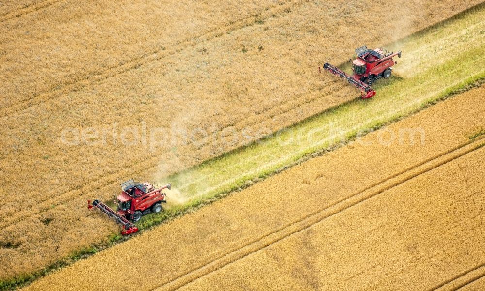 Aerial image Vipperow - Harvest use of heavy agricultural machinery - combine harvesters and harvesting vehicles on agricultural fields in Vipperow in the state Mecklenburg - Western Pomerania