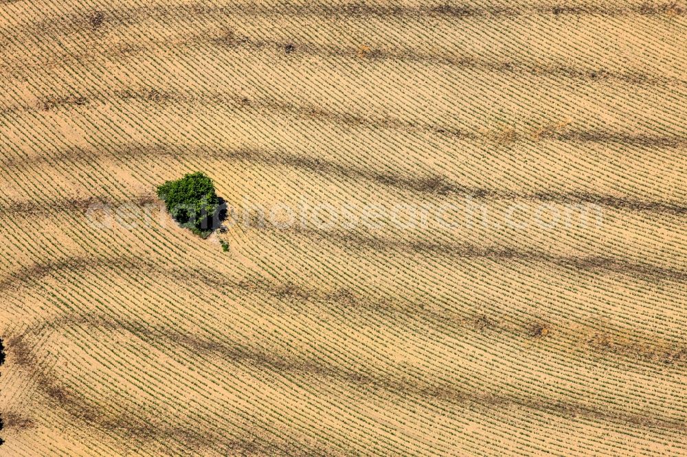 Aerial image Rattiszell - Harvest machine-vehicle tracks on a grain field in Rattiszell in Bavaria