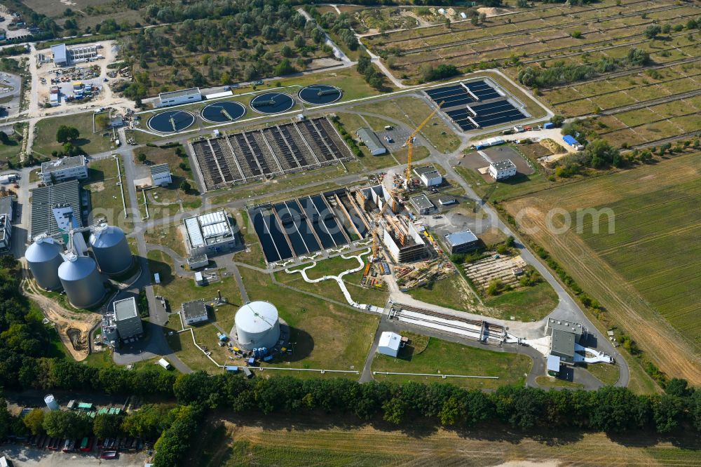 Münchehofe from above - New construction site and extension of the sewage treatment basins and purification stages by building a new flocculation filtration system on street Dahlwitzer Landstrasse in Muenchehofe in the state Brandenburg, Germany