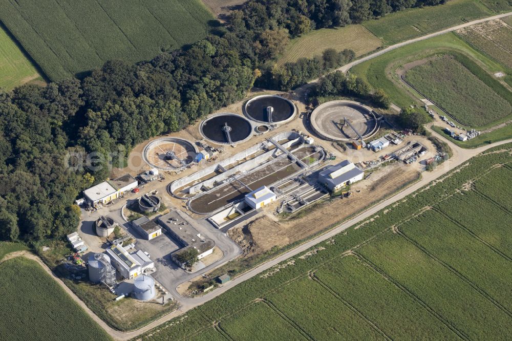 Aerial image Würselen - New construction site and extension of the sewage treatment basins and purification stages Wasserverband Eifel-Rur - Klaeranlage Wuerselen-Euchen on street Bendenweg in Wuerselen in the state North Rhine-Westphalia, Germany