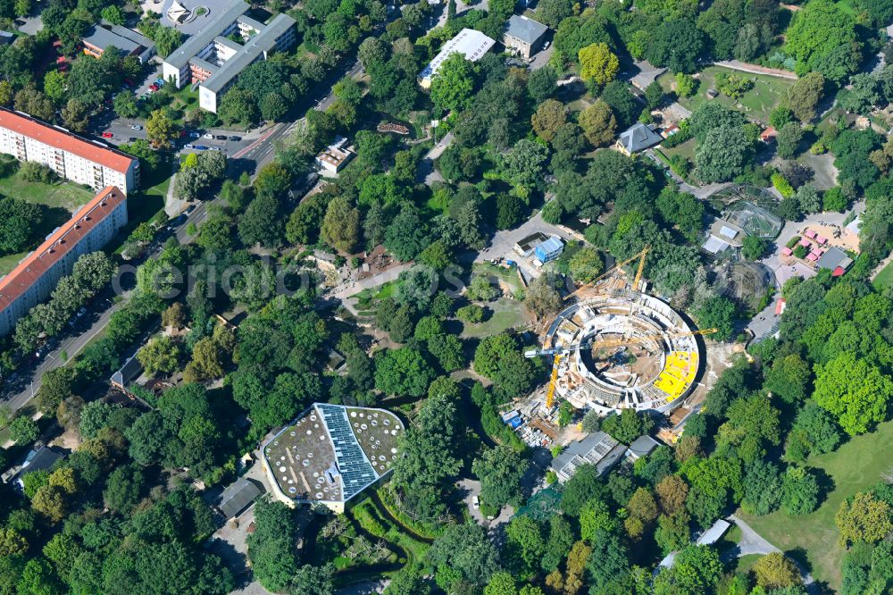 Dresden from above - Construction site of animal breeding accommodation Orang-Utan-Haus on street Tiergartenstrasse in Dresden in the state Saxony, Germany