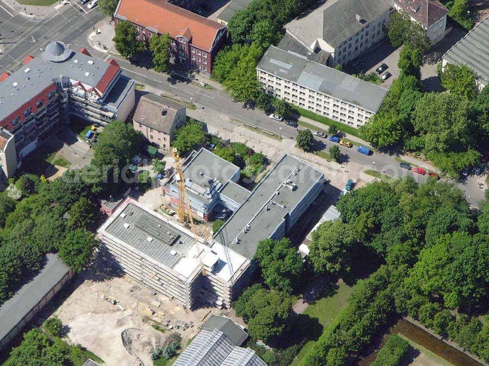 Berlin - Lichtenberg from above - Erweiterungsbaustelle am Institut für Zoo- und Wildtierforschung IZW an der Alfred-Kowalke-Strasse 28 10315 Berlin