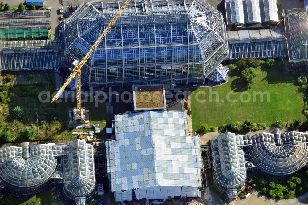 Berlin Dahlem from the bird's eye view: View of tropical house in the botanical garden in Steglitz, Berlin