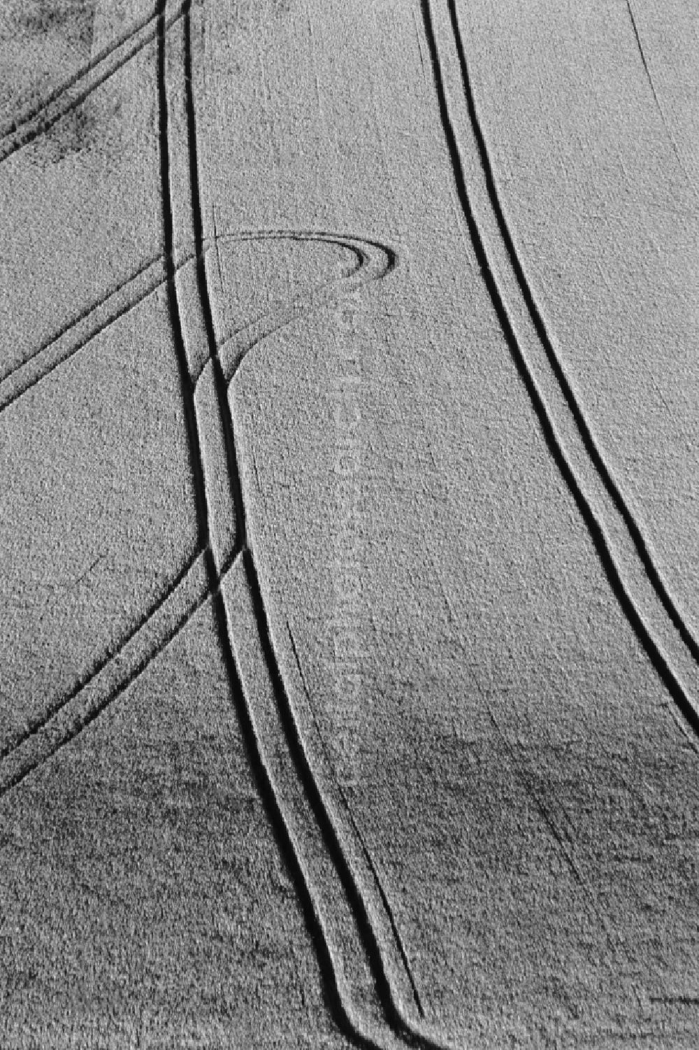 Aerial image Felm - Lanes in cornfield in Altenholz in Schleswig-Holstein