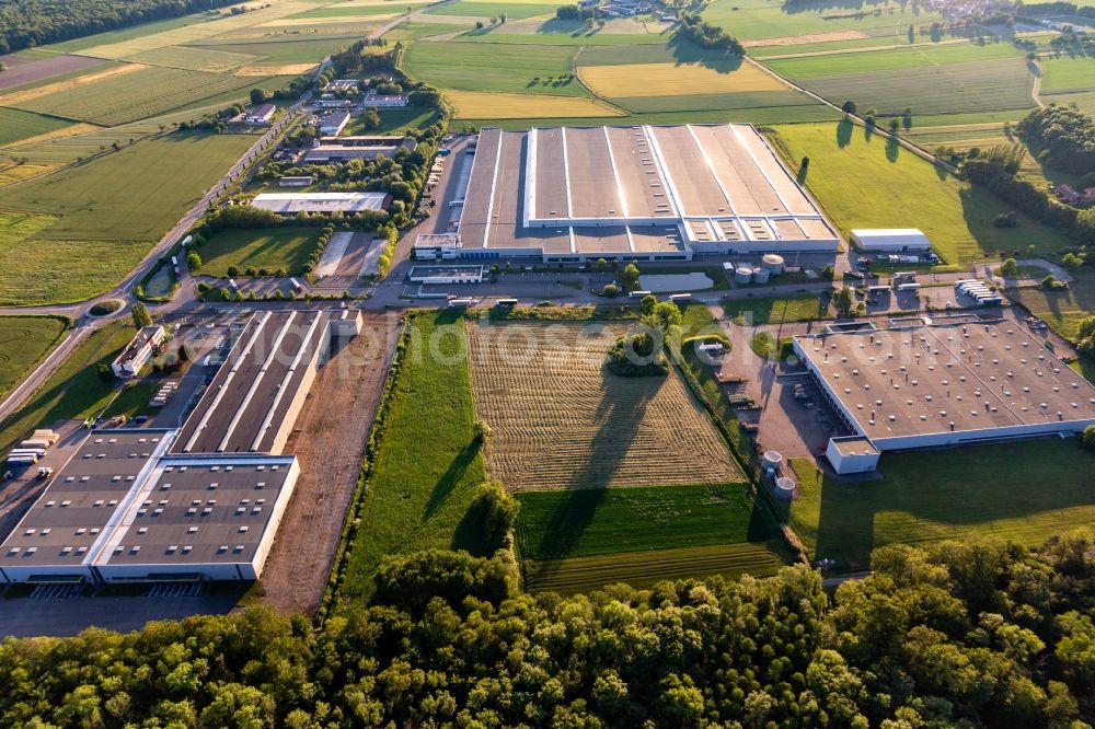 Hatten from the bird's eye view: Buildings and production halls on the vehicle construction site Daimler AG in Hatten in Grand Est, France