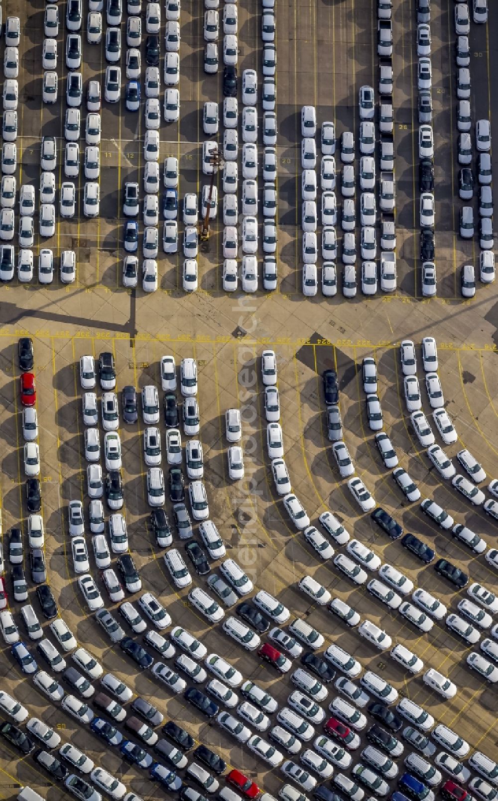 Hamburg from the bird's eye view: Vehicle series for the shipment of new cars and used cars and trucks for export from Hamburg