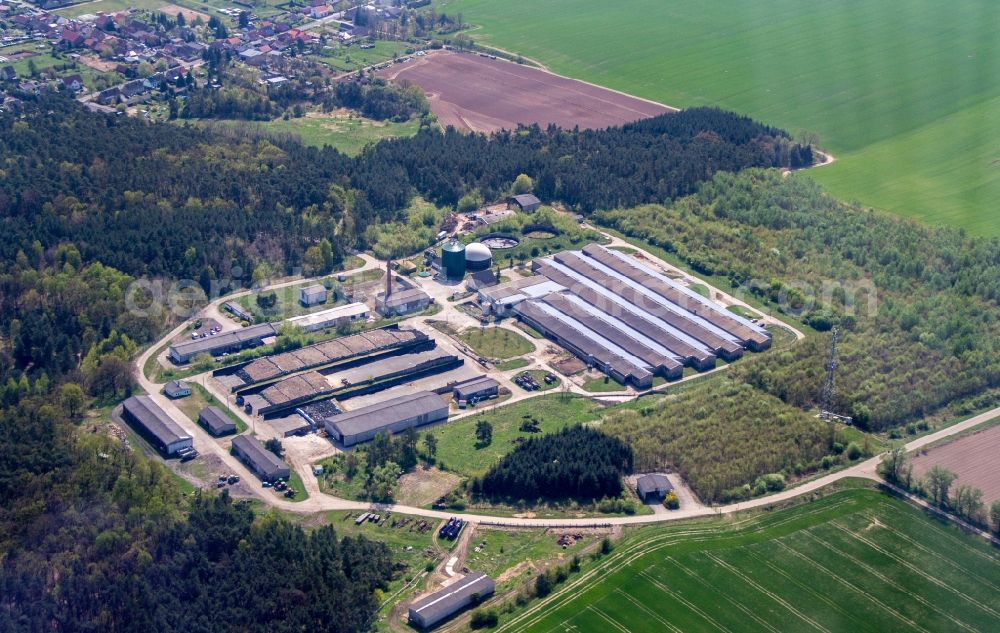 Aerial image Löwenberger Land - Falkenthaler Rinderhof and Autoservice Falkenthal in Loewenberger Land in the state Brandenburg, Germany