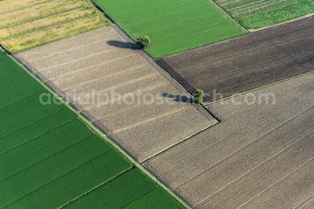 Aerial image Pontinvrea - Green and brown field in Pontinvrea in Italy