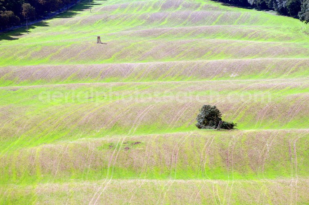 Aerial image Basedow - Ein Feld an der Dorfstraße.