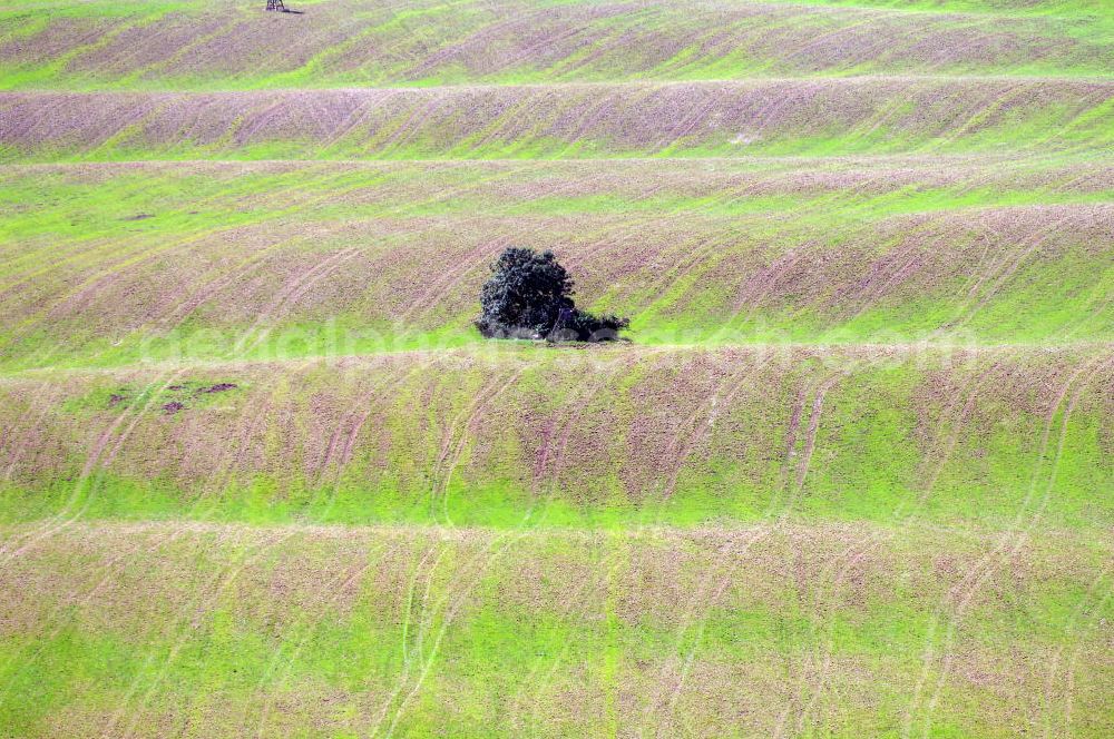 Aerial photograph Basedow - Ein Feld an der Dorfstraße.