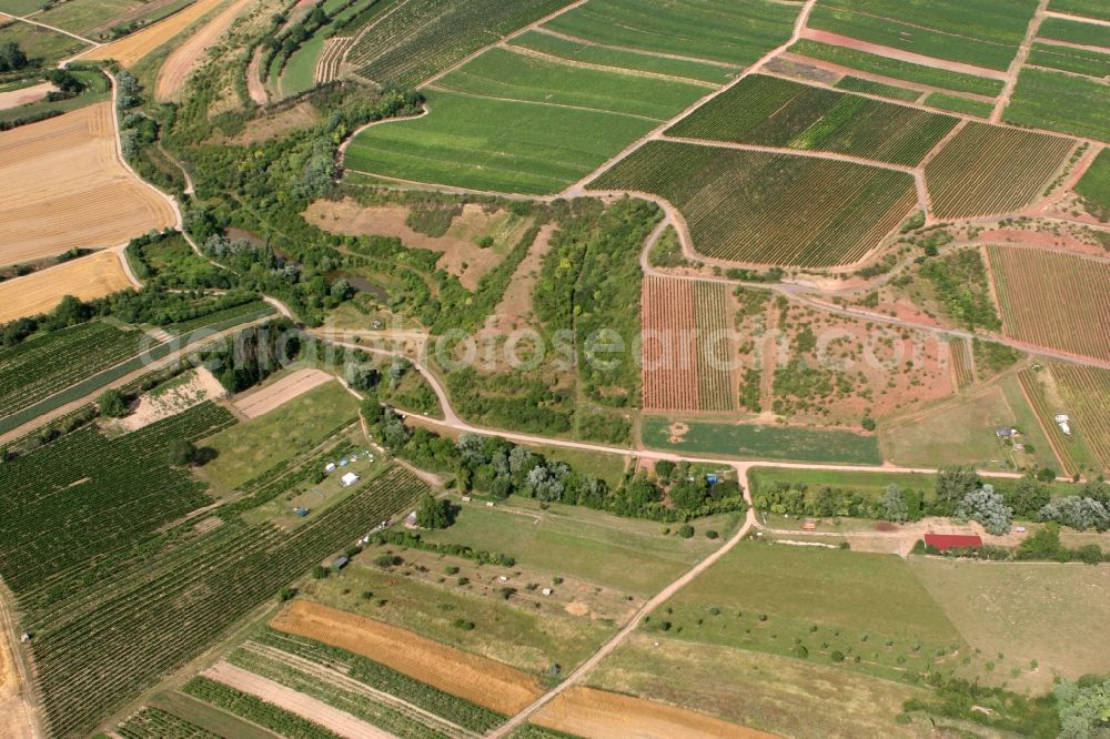 Nierstein from above - Blossoming field and arable land with roads and pond in Nierstein in Rhineland-Palatinate