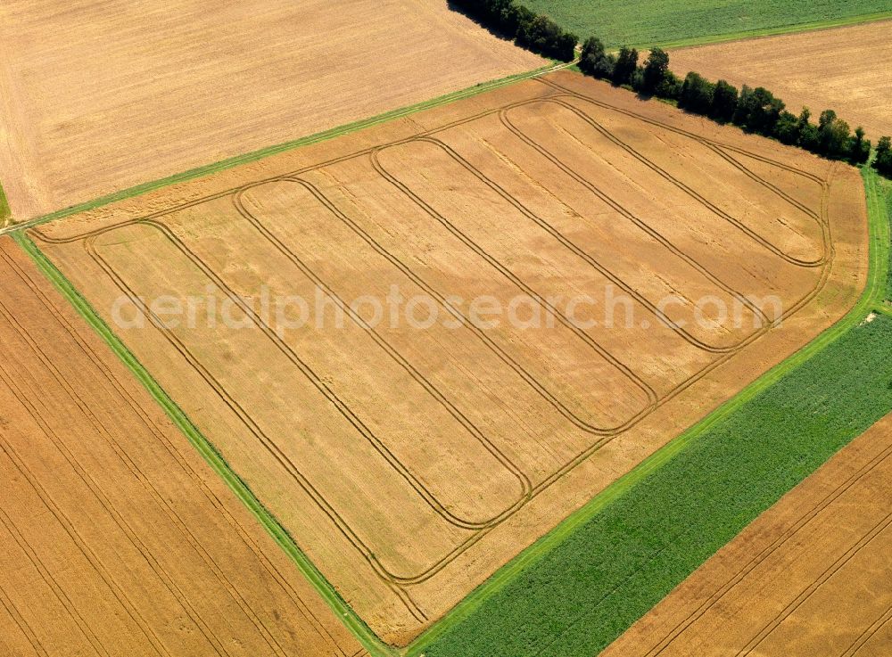 Münstermaifeld from above - View of field and tree structures near Muenstermaifeld in the state Rhineland-Palatinate