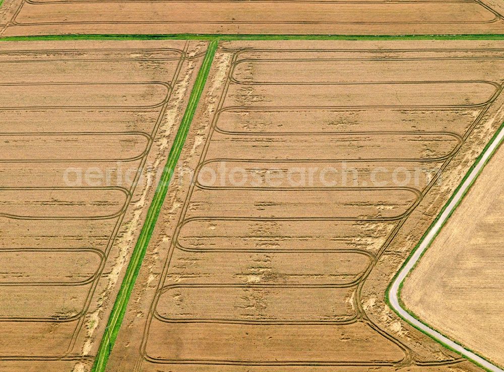 Münstermaifeld from the bird's eye view: View of field and tree structures near Muenstermaifeld in the state Rhineland-Palatinate