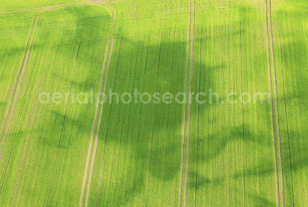 Bösleben-Wüllersleben from above - In a cornfield at Boesleben-Wuellersleben in Thuringia the moist surfaces can be seen in the Nierdungen after the storm of the past days still good