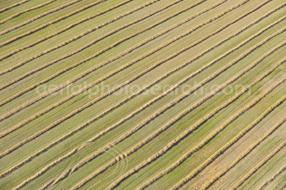 Aerial image Reinsdorf - Ein Feld in der Nähe von Reinsdorf, Thüringen. A Field near Reinsdorf, Thuringia.