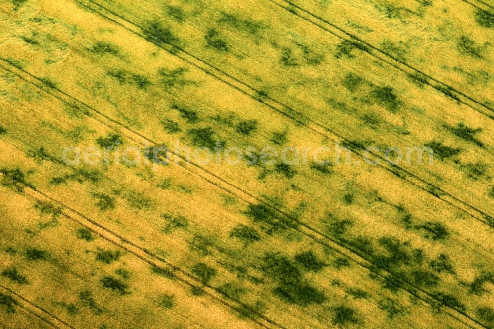 Aerial image Sprötau - In a field at Sproetau in Thuringia the damage caused by the heavy rains are seen after the storm of the last few days