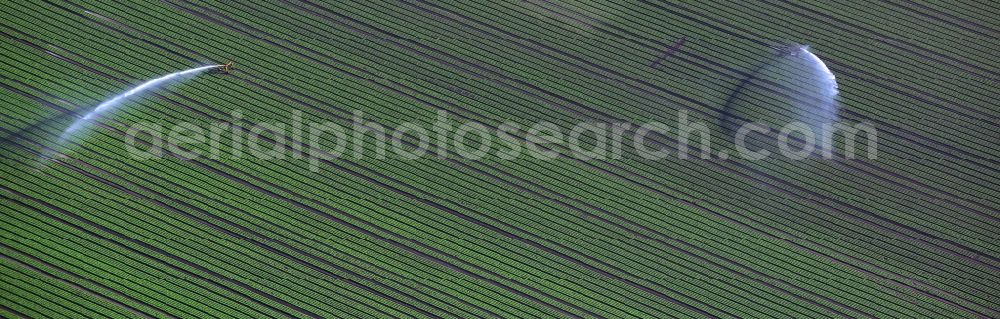 Aerial image Reinbek - Field irrigation in summer Reinbek in Schleswig-Holstein