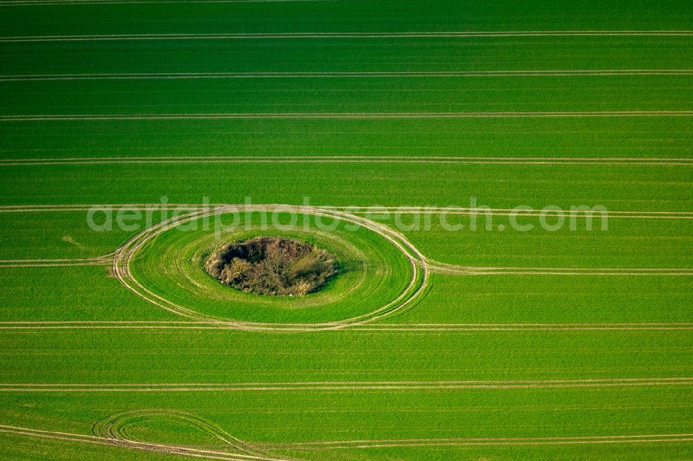 Aerial image Dargun - View of a green field with bushes near Dargun in the state Mecklenburg-West Pomerania