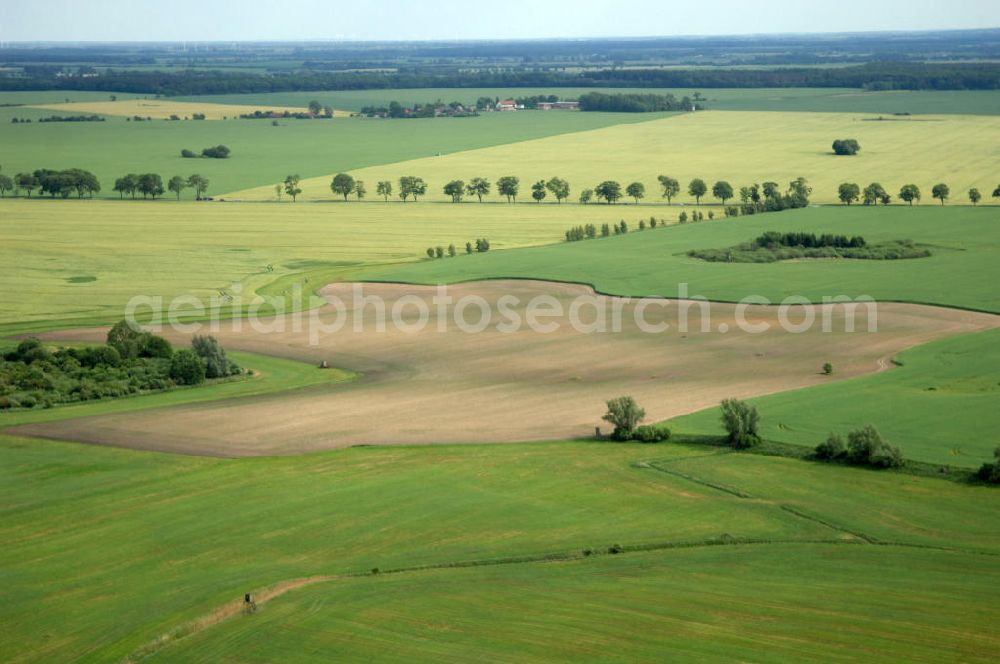 Poggendorf from the bird's eye view: Blick auf ein abgeerntetes Feld / Landschaft bei Poggendorf - Mecklenburg-Vorpommern MV. View of a harvested field / landscape near Poggendorf - Mecklenburg-Western Pomerania.