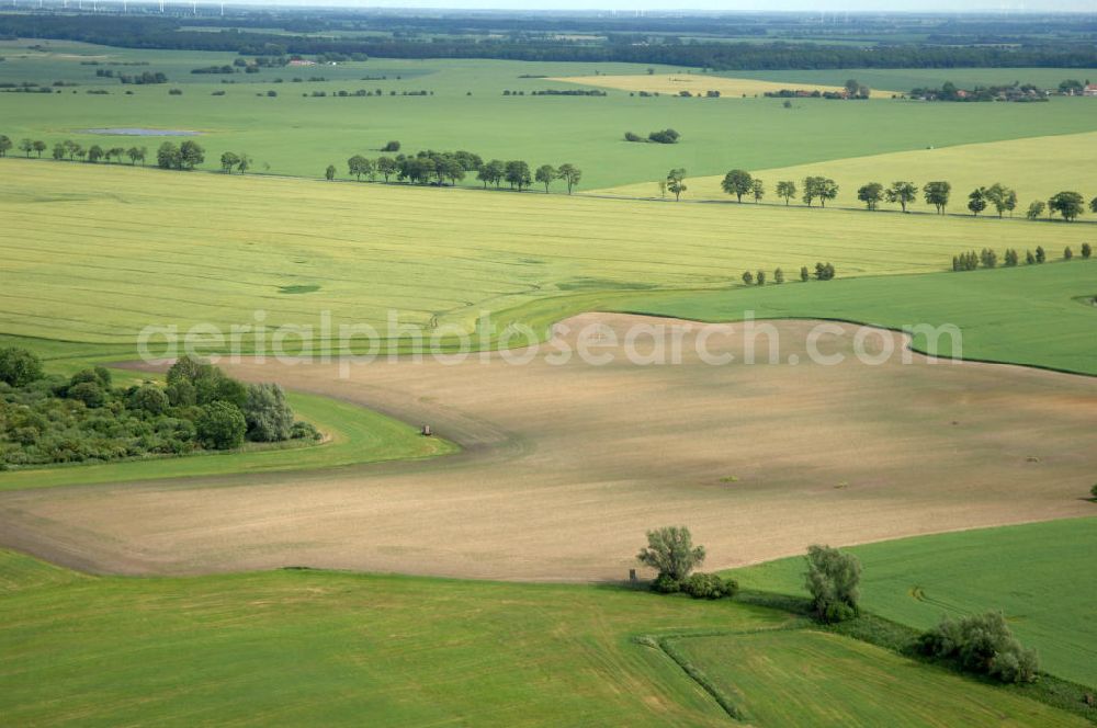 Aerial image Poggendorf - Blick auf ein abgeerntetes Feld / Landschaft bei Poggendorf - Mecklenburg-Vorpommern MV. View of a harvested field / landscape near Poggendorf - Mecklenburg-Western Pomerania.