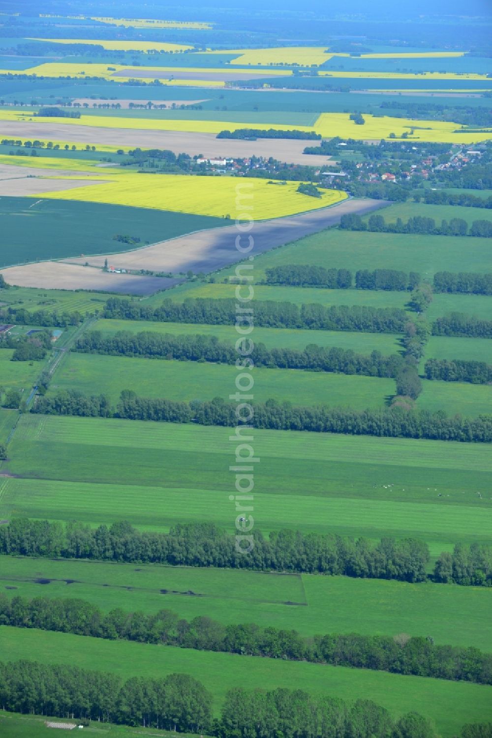 Aerial photograph Manker - Field Landscape with tree lines - limits on Manker in Brandenburg