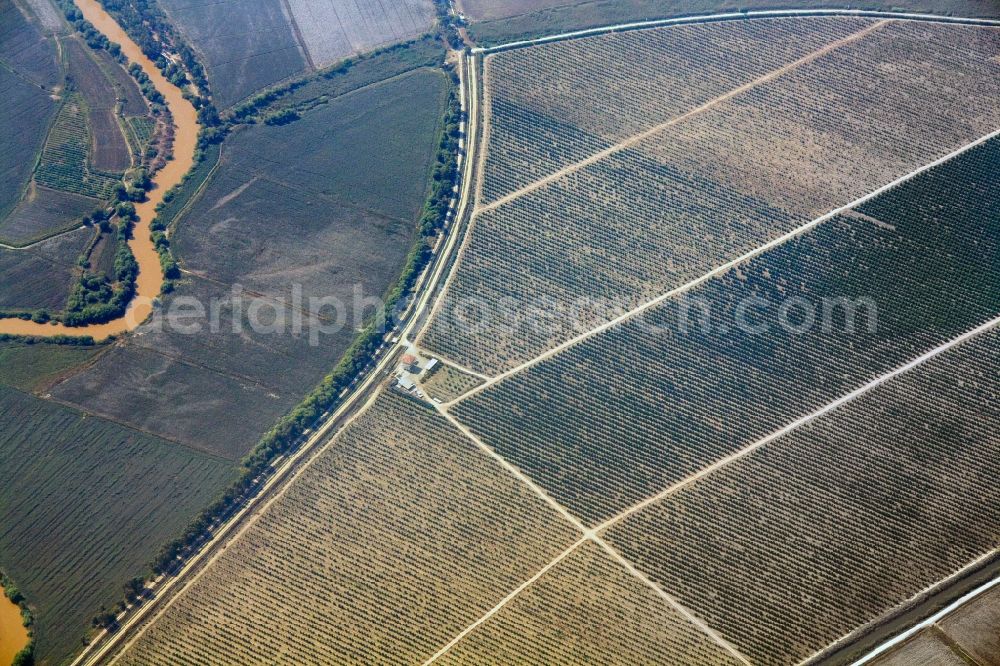 Aerial image Söke - Field landscape in Söke in the province of Mugla in Turkey