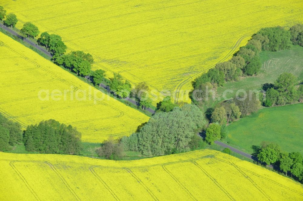 Altlandsberg from above - Field landscape yellow flowering rapeseed flowers in Altlandsberg in the state Brandenburg